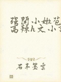 强开小嫩苞h文高辣h文小说封面