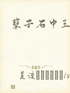 孽子石中玉封面