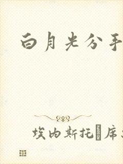 白月光分手日常