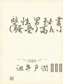 双性男秘书巨乳(骚受)高h小说