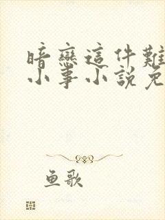 暗恋这件难过的小事小说免费阅读封面