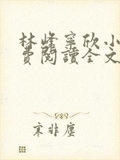 林峰宁欣小说免费阅读全文最新章节封面