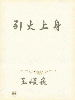 引火上身封面