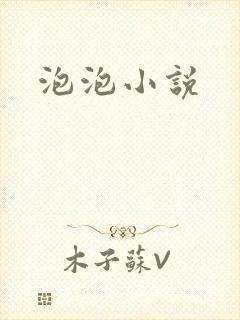 泡泡小说