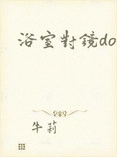 浴室对镜doi