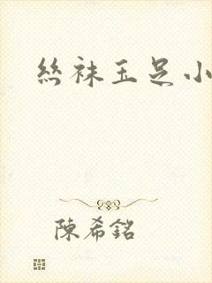 丝袜玉足小说