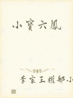小宝六凤