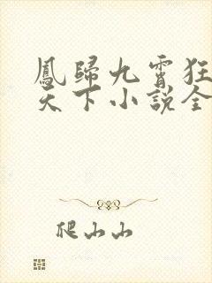 凤归九霄狂妃逆天下小说全文阅读