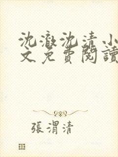沈澈沈清小说全文免费阅读最新章节封面
