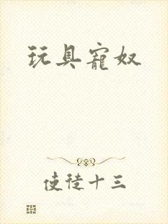 玩具宠奴