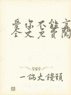 爱你不能言小说全文免费阅读