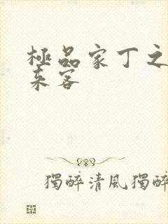 极品家丁之远方来客