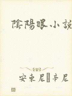 阴阳眼小说