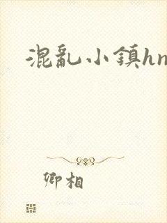 混乱小镇hnp