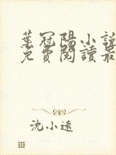 叶冠阳小说全文免费阅读最新章节