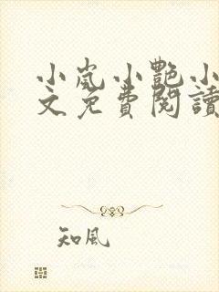 小岚小艳小说全文免费阅读最新章节封面