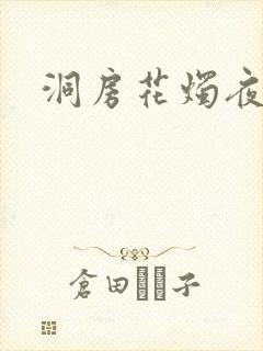 洞房花烛夜小说