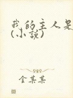 我的主人是妹妹(小说)