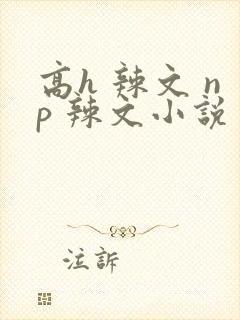 高h 辣文 np 辣文小说