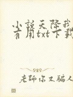 小说天降我才必有用txt下载封面