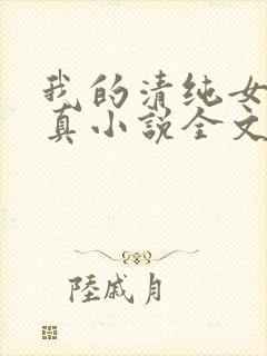 我的清纯女友小真小说全文阅读小说封面