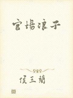 官场浪子