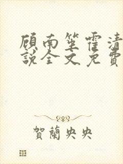 顾南笙霍清寒小说全文免费阅读全文