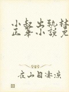 小叔出轨林梦顾正华小说免费阅读全文封面