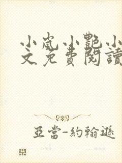 小岚小艳小说全文免费阅读最新章节封面