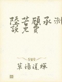 陆芒顾承洲的小说免费封面