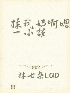 揉我奶啊嗯再骚一小说封面