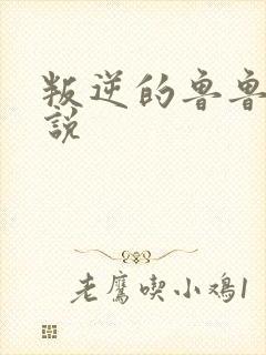 叛逆的鲁鲁修小说封面