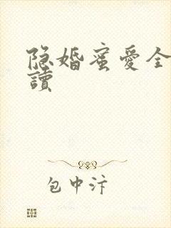 隐婚蜜爱全文阅读