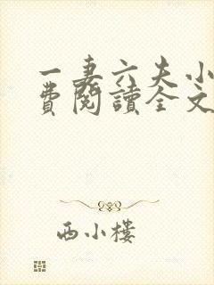 一妻六夫小说免费阅读全文封面