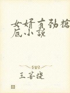 女婿有劲枪枪到底小说