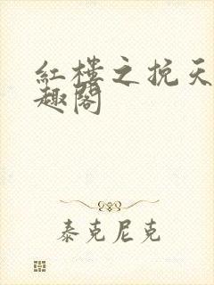 红楼之挽天倾笔趣阁