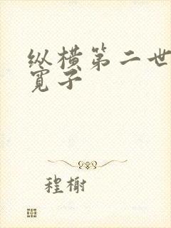 纵横第二世界 宽子封面