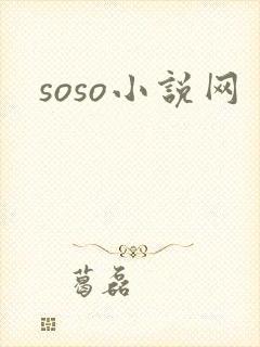 soso小说网封面