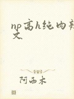 np高h纯肉辣文