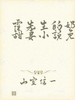 霍先生的奶萌小甜妻小说免费阅读封面