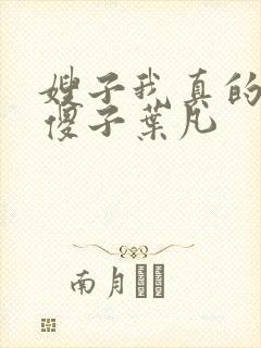 嫂子我真的不是傻子叶凡