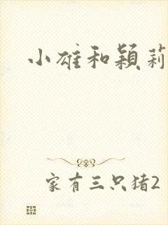 小雄和颖莉封面