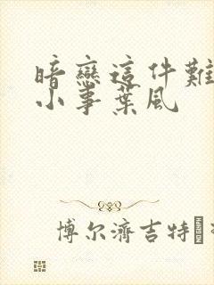 暗恋这件难过的小事叶风封面