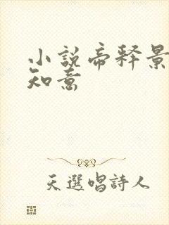 小说帝释景,南知意