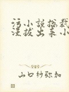 污小说总裁整夜没拔出来小说在线阅读
