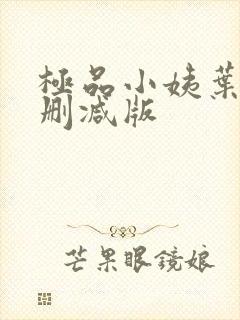 极品小姨叶凡无删减版