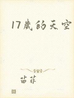 17岁的天空封面