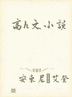 高h文小说封面