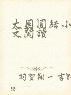 大团圆结小茹全文阅读