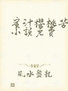 蜜汁樱桃苦咖啡小说免费